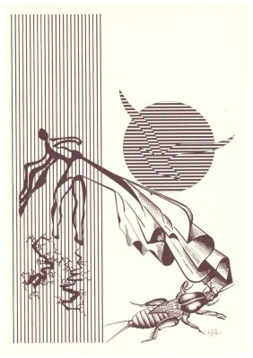 Ángel Ilzarbe. Dibujo de segura definición