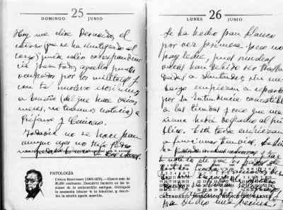 Diario de don Manuel Díez Gálligo