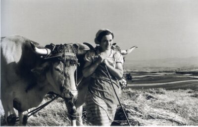 Navarrica, campos de Sarasa. Agosto de 1960 (Museo de Navarra)
