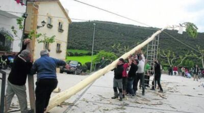 Alzado del mayo en Mirafuentes. Foto: Diario de Noticias, 7 mayo 2011.